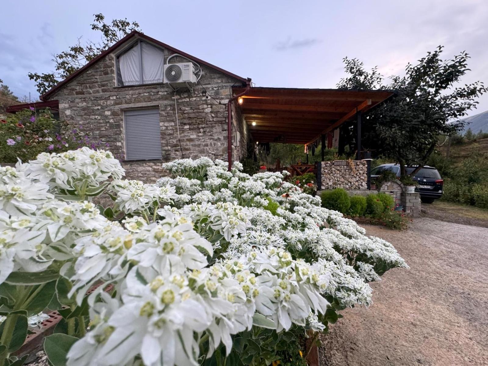 Stone House Βίλα Kelcyre Εξωτερικό φωτογραφία